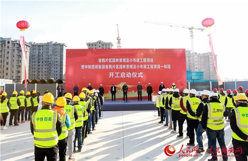 雄安容西的第一棵樹(shù),種在這里